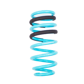 DODGE CHARGER R/T SRT RWD (LX/LD) W/O NIVOMAT 2015-19 TRACTION-S™ PERFORMANCE LOWERING SPRINGS