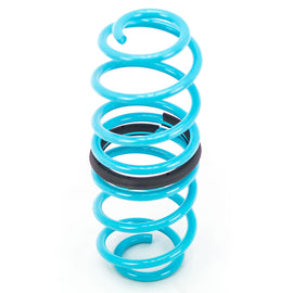 FORD FIESTA 2011-19 TRACTION-S™ PERFORMANCE LOWERING SPRINGS