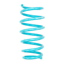 FORD EDGE (K3/K4) 2007-14 TRACTION-S™ PERFORMANCE LOWERING SPRINGS