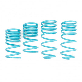 FORD ESCAPE 2001-12 TRACTION-S™ PERFORMANCE LOWERING SPRINGS