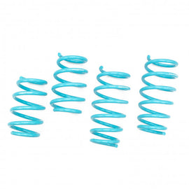 FORD EDGE (K3/K4) 2007-14 TRACTION-S™ PERFORMANCE LOWERING SPRINGS