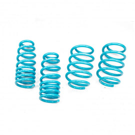 FORD TAURUS 2010-19 TRACTION-S™ PERFORMANCE LOWERING SPRINGS