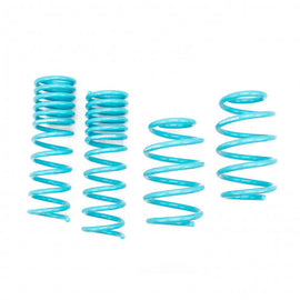 FORD ESCAPE 2014-19 TRACTION-S™ PERFORMANCE LOWERING SPRINGS