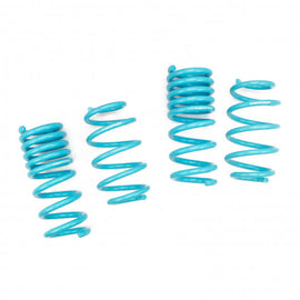 FORD EDGE (D3/D5/D6) 2015-20 TRACTION-S™ PERFORMANCE LOWERING SPRINGS