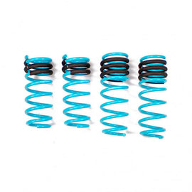BMW 640I XDRIVE GRAN TURISMO (G32) 2018-19 TRACTION-S PERFORMANCE LOWERING SPRINGS